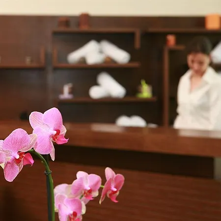 Murite Park 호텔 반스코